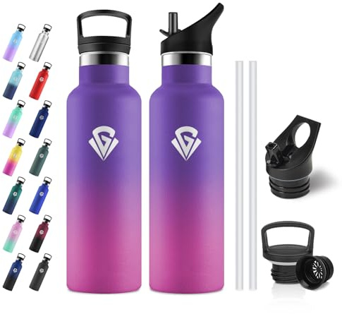 JAPORIA Borraccia Termica 500ml, Borraccia con Cannuccia, senza BPA, Bottiglia Termica Isolata per Ufficio, Scuola, Campeggio, Palestra