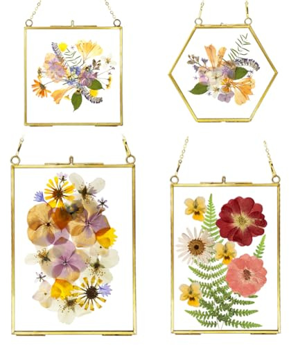 4 PCS Glass Frame for Pressed Flowers - Gold Floating Picture Frames with Metal Chain Wall Hanging Pressed Flower Frames for Dried Flowers Plants Specimen