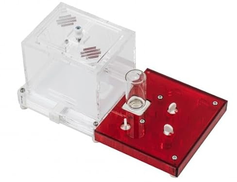 Kit Educativo de Hormigas Anthouse con Reina Incluida – Hormiguero Acrílico Profesional 10 x 20 x 1,3 cm para Niños y Principiantes | Granja de Hormigas para Observación y Aprendizaje (Transparente)