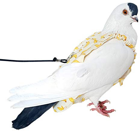 YUYUSO Pigeon Diaper with Leash for Pigeons over 5 Months Old