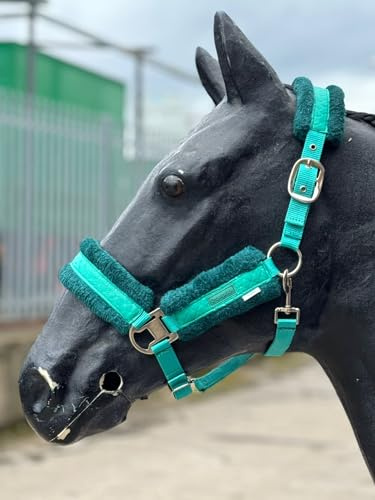 Equipride Glänzendes Halfter mit kleinen glitzernden Sternen, Kunstfell-Futter, Cob, Grün