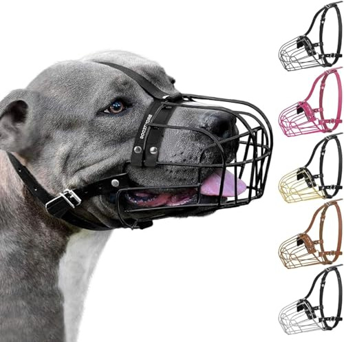BronzeDog Muselière pour Chien en métal Amstaff Panier en Fil de Fer Sangles réglables en Cuir pour Grands Chiens