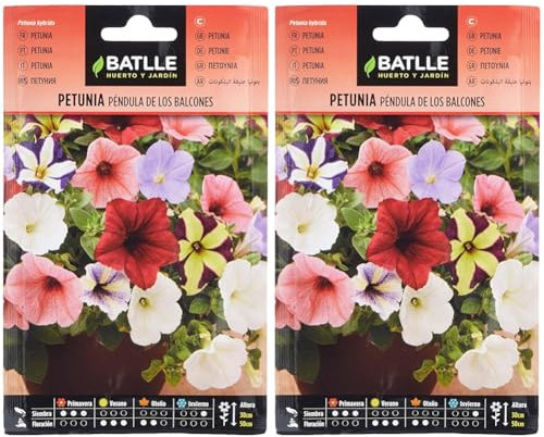 Batlle Petunia TOMBANTE des BALCONS (Lot de 2)