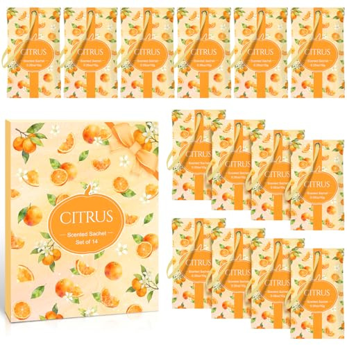 Scent-Hi Sobres Perfumadas, Aroma de Cítrico Bolsitas Perfumar Cajones per Fumadas para Baños Coches Cajones y Armarios