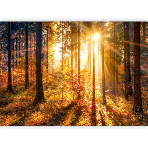 murando - Carta da Parati Adesiva 392x280 cm - Fotomurali Adesivi Murali Rivestimento Parete Moderna per Pareti Adesiva Muro Decorativo Fotomurale Soggiorno - Paesaggio Natura Foresta
