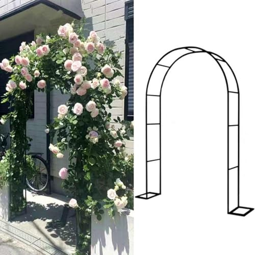 Pergola de jardin en métal pour plantes grimpantes - Treillis pour roses et vignes - Cadre de pelouse - Facile à assembler - 300 cm x 250 cm