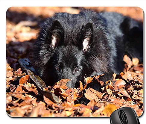 YENDOSTEEN Alfombrillas de ratón para Juegos, Alfombrilla de ratón, Perro Pastor Belga Groenendael Animales Naturaleza