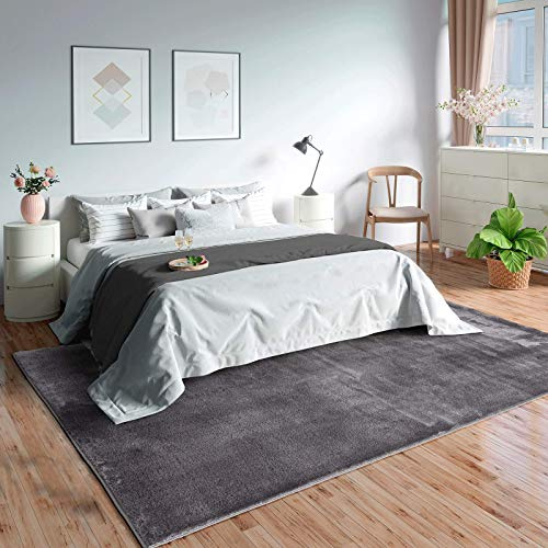 Mia's Teppiche Olivia - Alfombra para salón/Dormitorio, Lavable, 80 x 150 cm, Color Gris Oscuro