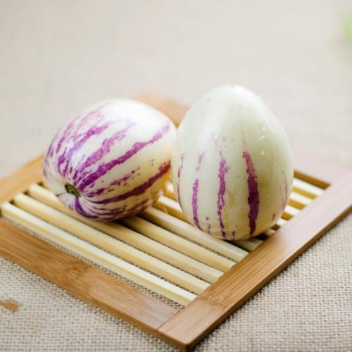 semi di melone e pera, esotiche serre da balcone melone pepino da rari giardino frutteto nani 80pcs