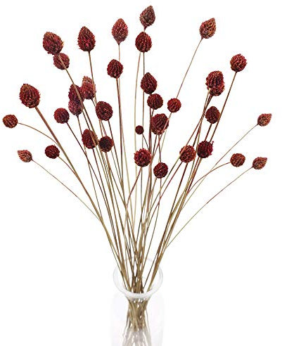 HUAESIN 30PCS Fiori Secchi Naturali per Decorazioni Bouquet Fiori Secchi Composizione Fiori Essiccati Rami Decorativi per Vaso Alto Fiori Autunnali per Decorazioni Casa Ufficio Balcone Fai da Te