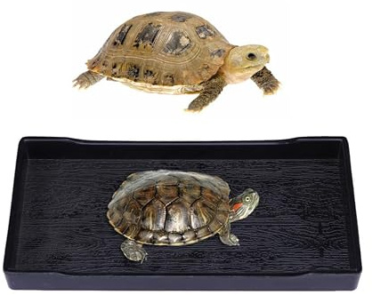 Cabilock Cuenco para Reptiles Negro Comedero y Bebedero Multifuncional Pequeño Plato para Comida, Agua y Baño para Tortugas Suministros para Tortugas y Mascotas