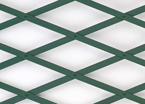 CapitanCasa Enrejado de PVC para trepadores, extensible, para valla de jardín o terraza, 100 x 300 cm, verde