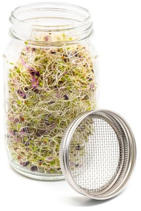 grow sow greener 1L Sprouting Jar with Large Mesh Stainless Steel Lid | Lead-Free Glass, BPA-Free, Ideal for Beans & Pulses