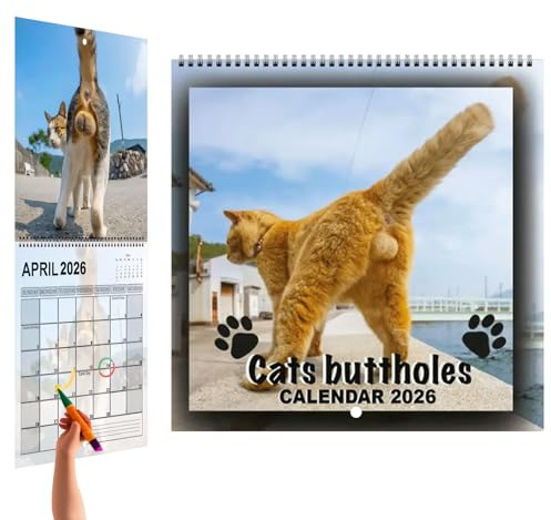 Katbollar kalender 2026, rolig katt väggkalender, 12 månaders schemaläggningsverktyg familjeplanerare organiserare för kylskåp skrivbord vardagsrum