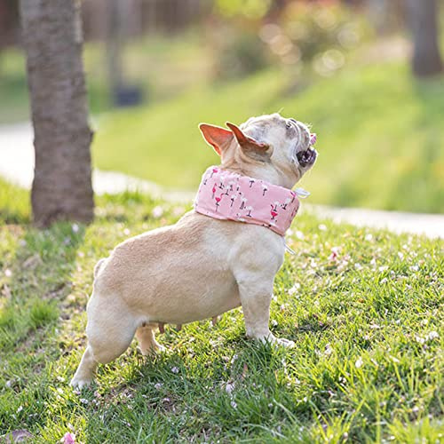 Generic Dog Cooling Collar, Dog Cooling Collar, Breathable, Separate Pockets, Adjustable, Vibrant Colors for Walking (Bird S)