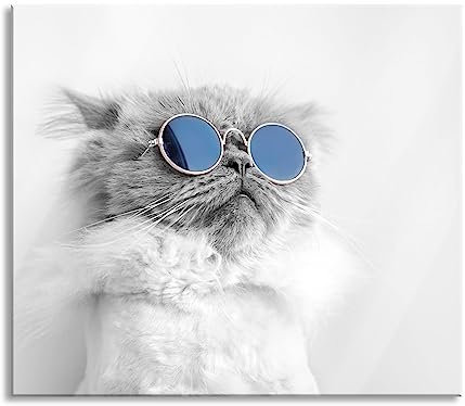 Coole Katze mit runder Sonnenbrille B&W Detail Herdabdeckplatte & Spritzschutz aus Echtglas | Für Herd-Kochfelder | 60x52 cm