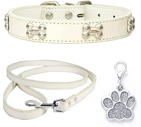 HALFSUMO Hundehalsband Leder Halsband Hundeleine Combo Set Hundehalsbänder Verstellbares Welpenhalsband für Kleine Mittelgroße Hunde Katzen Weiß XS