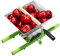 VANCHEMO Presse-fruits manuel 7 l - En chêne - Avec poignées et chiffon de pressage - Moulin à maïs - Pour fruits