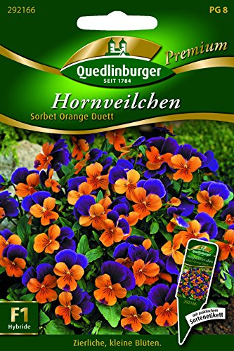 Hornveilchen Sorbet Orange Due - Viola cornuta QLB Premium Saatgut Blumen einjährig