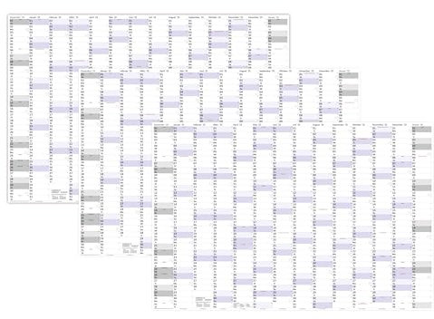 3 Stück XXXL Wandkalender Special A0 2025 nass abwischbar (Format 120 x 80cm) Jahresplaner Wandplaner gerollt mit extra großen Tageskästchen zur optimalen Verwendung