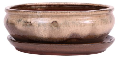 Bonsai - Schale oval 25.5 x 20 x 9.5 cm, beige/braun, mit Untersetzer 31137