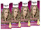PALETTE Intensiv Creme Coloration 8-11 Kühles Naturblond, 4x 115 ML