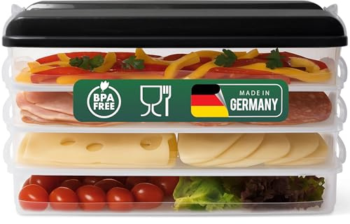 Novaliv 4x Frischhaltedosen klein mit 1x Deckel, stapelbar für Kühlschrank & Gefrierfach, Vorratsdosen Set Aufbewahrungsbox Organizer, für Aufschnitt Wurst Käse Obst Gemüse, Meal-Prep Dosen Box