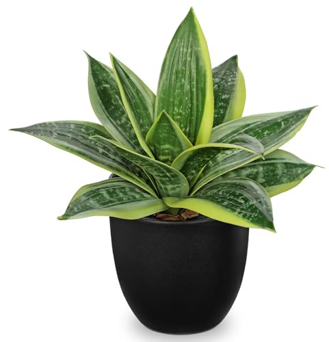 Hollyone 23CM Fake Snake Plans in Black Pots, Yellow and Green Artificial Sansevierias, Realistic Faux Plants Decorative Greenery for Home Decor, Living Room, Bathroo, Kitchen Decorations