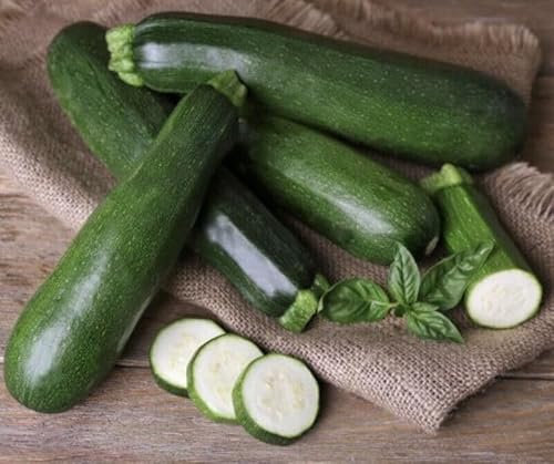 Buy4seeds 20 Seeds COURGETTE - Zucchini Early Easy for Grow Garden