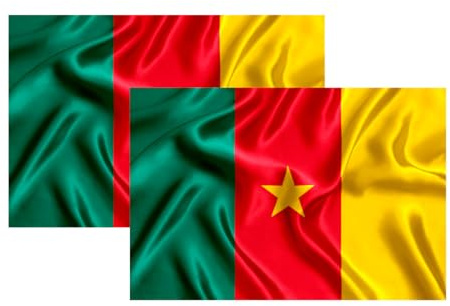 Bandera de [PAIS], Bandera 90cm x 150cm, Grande con Trabilla para Mástil y Cordones para Sujetar, Ligera, para Deportes, Fútbol, Edificios (Camerun 2ud)