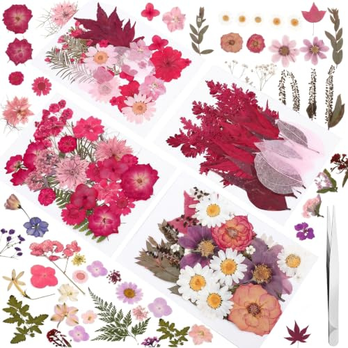 100 Stück gepresste Blumen für Harzhandwerk, getrocknete blüten echte | Natürliche gepresste Blumen und Blätter,Trockenblumen für Epoxy-Harz-Armbandmachen, Kerzen- und Seifenherstellun