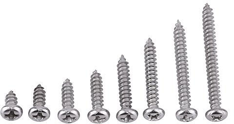 200 Pcs M3 Viti autofilettanti in SS 304 acciaio inox, Kit viti a chiodo viti filettate in legno