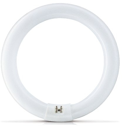 WEMLITE Plus Lamp 22w Circular Fly Killer Insectocutor Fluorescent Tube