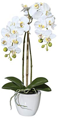 kunstpflanzen-discount.com Gefühlsechte Orchideen Kunstblume 57cm mit 2 Creme weißen Blütenzweigen im Topf - Große künstliche Orchidee mit Knospen