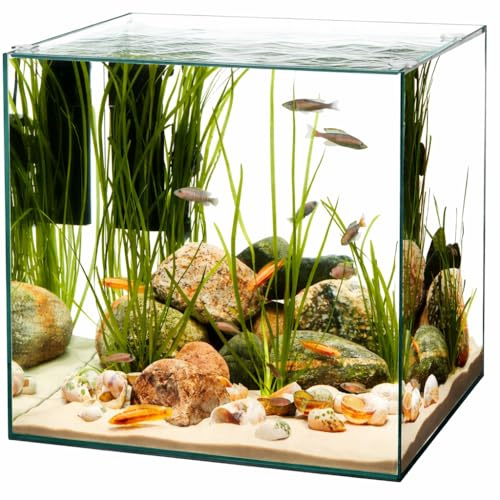 AquariumLine Cube – Acquario Cubico in Vetro Float per Acqua Dolce – Varie Misure 20-30 - 40 – Design Minimal Vasca Senza Cornici per Nano Acquari, Piante,Caridine e Aquascaping (40X40X45H)