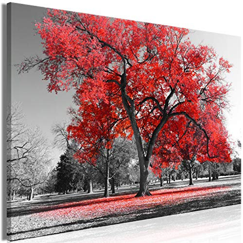 murando - Akustikbild Baum Leinwandbild 1 tlg Kunstdruck modern Wandbilder XXL Wanddekoration Design Wand Bild - Bäume Natur Landschaft schwarz weiß rot c-B-0445-b-b