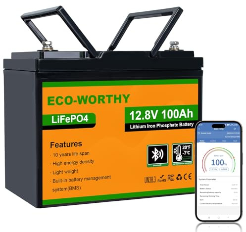 ECO-WORTHY LiFePO4 100 Ah Bluetooth, litiumbatteri 12 V 100 Ah med BMS lågtemperaturskydd och max. 15000 cykler, 1280 Wh bilbatteri för husbil, båt, solpanel