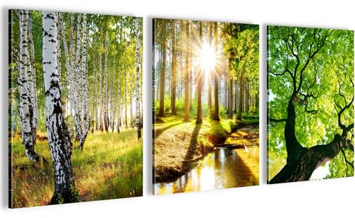 Novart Wandbilder Set Wald Landschaft - KOMPLETT AUFHÄNGFERTIG - Wohnzimmer Schlafzimmer Flur Deko - 3 Moderne Bilder Grün - N036635a