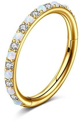 VCMART Segmentring Clicker 8mm 10mm Piercing Nase Septum Helix Tragus Conch Rook Daith Ring 1,2mm Gold Chirurgenstahl