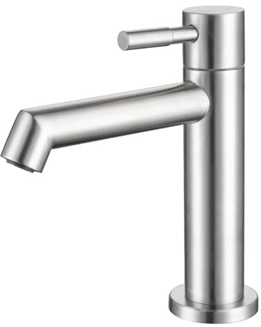 Tondiy Rubinetto Bagno Solo Acqua Fredda, Rubinetti Lavabo Dell'acqua Fredda con Tubo di Collegamento, Monocomando per Toilette per Gli Ospiti Acciaio Inox 304, Aeratore Rimovibile, Spazzolato