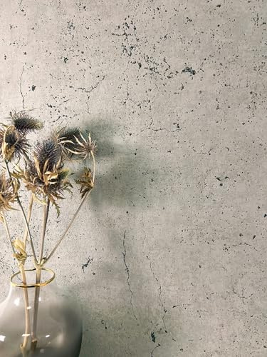 Newroom Vliestapete Grau Betontapete Industrial Modern Wohnzimmer | Verwitterter Sichtbeton mit dunklen Sprenkeln und feinen Rissen, ansatzfrei, Loft Mustertapete für Schlafzimmer Büro