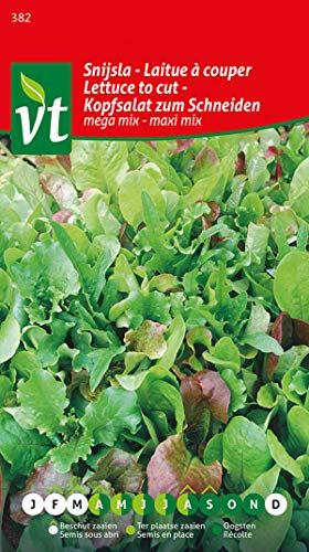 Lattuga da taglio mega mix - maxi mix