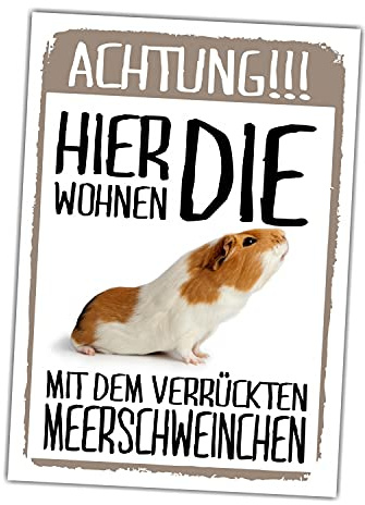 Meerschweinchen lustig wohnen Schild lustig Spruch Türschild Warnschild Fun Metallschild