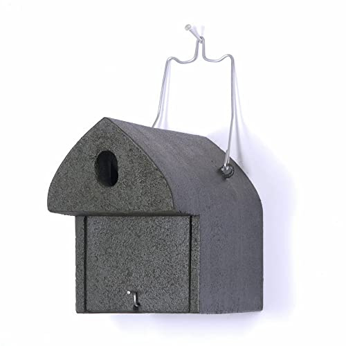 HASSELFELDT Nistkasten Holzbeton für Kohlmeise, Haussperling, Feldsperling & andere | Brutkasten für Vögel Wetterfest | Vogelhäuser für draußen | Nisthaus für Vögel Draussen | Vogelhaus