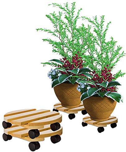 BigDean 2x Pflanzenroller rund Buchenholz massives Holz 30 cm bis 120 Kg Rolluntersetzer
