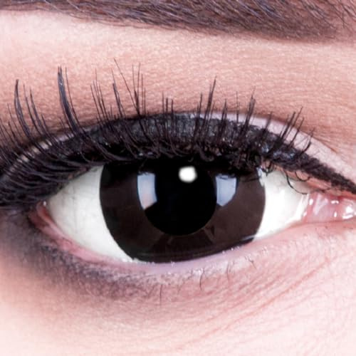 MeralenS Lentilles de contact colorées Mini Sclera Halloween 'Black Out' - 17mm MeralenS Horror Lenses incl. étui - 1paire (2 pièces) I sans correction I 0,00 Dioptries