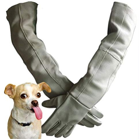 YAOBAO Tierhandschuh-Handschuhe Stulpenleder für Hund Katze Vogel Schlange Papagei Eidechse Wilde Tiere, Anti-Biss/Kratzhandschuhe Leder Gartenstulpen (60cm)