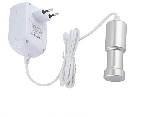 Fdit Pulitore ad ultrasuoni Pulitore ad ultrasuoni Portatile Professionale Pulitore per vetri Pulitore per Gioielli Pulitore ad ultrasuoni per Uso Domestico(EU-Plug)