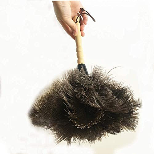 Ostrich Feather Duster, Car Duster with Wooden Handle for Blinds, Kitchen, Keyboard Office, Car, Small, 13 inch, Black.