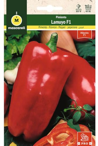 Mascarell Semillas, PIMIENTO, Semillas Huerto, PIMIENTO LAMUYO F1, Crea tu Propio Huerto Urbano y Cultivo en Casa, Plantas Hortícolas, 0,1 Gramos
